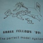 1989 perfect model