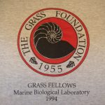 1994 front logo