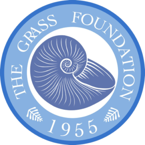 Grass logo