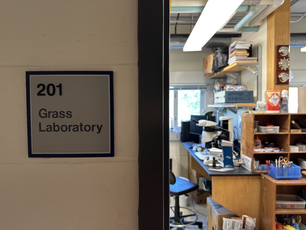 Apply for the 2026 Grass Fellowship